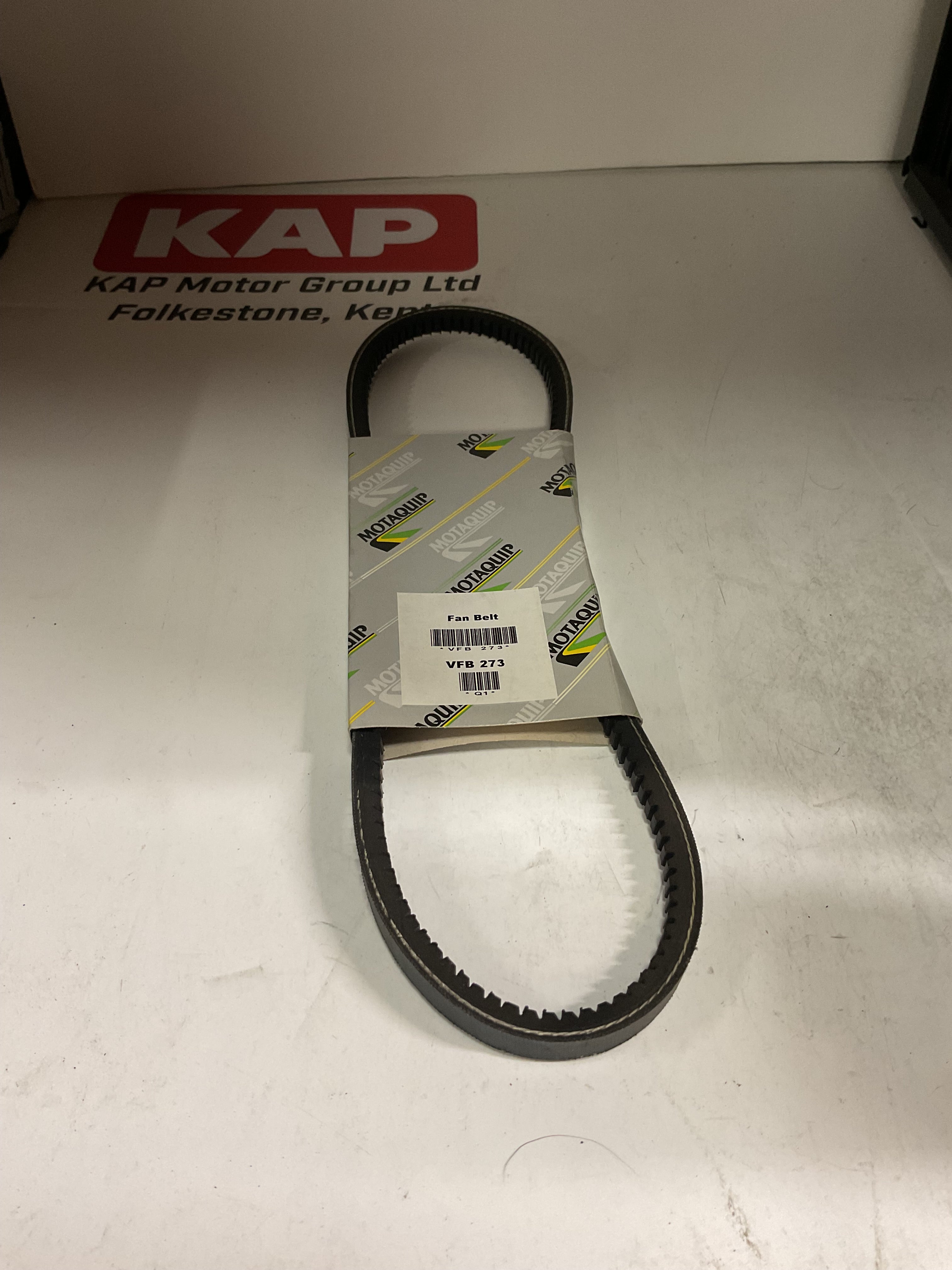 MOTAQUIP M:Str Belt VFB273