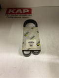 MOTAQUIP M:Str Belt VFB524