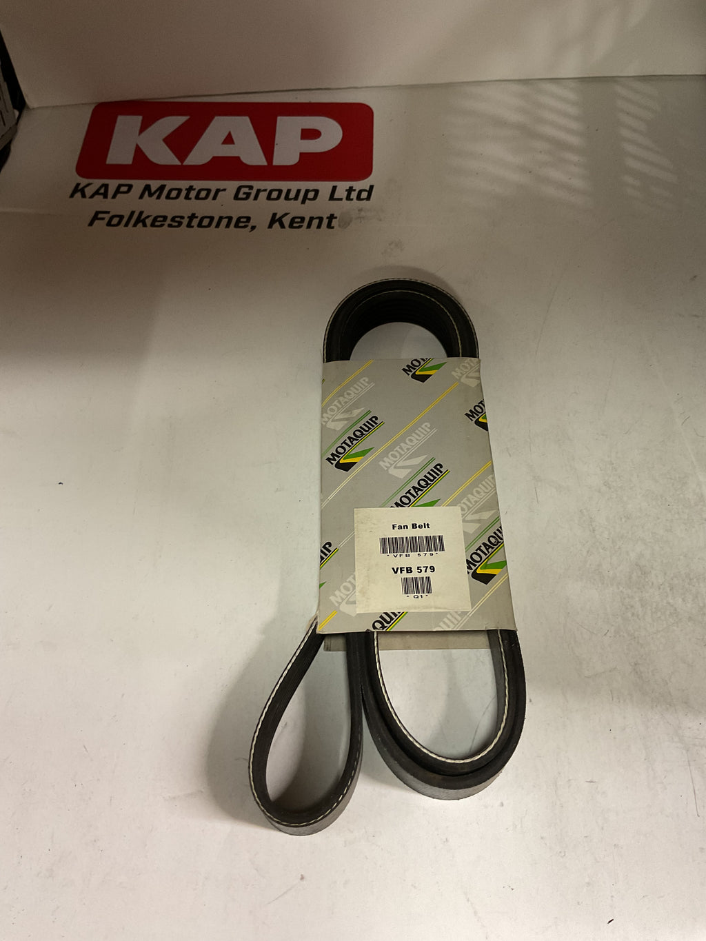 MOTAQUIP Drive Belt VFB579