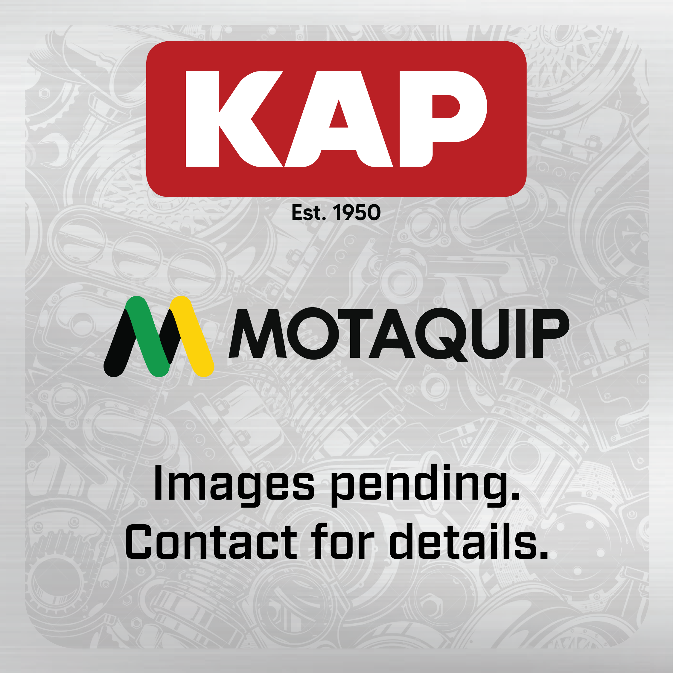MOTAQUIP Air Filter VFA1117
